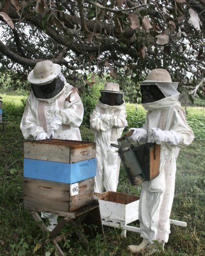 IMG_5416-scaled